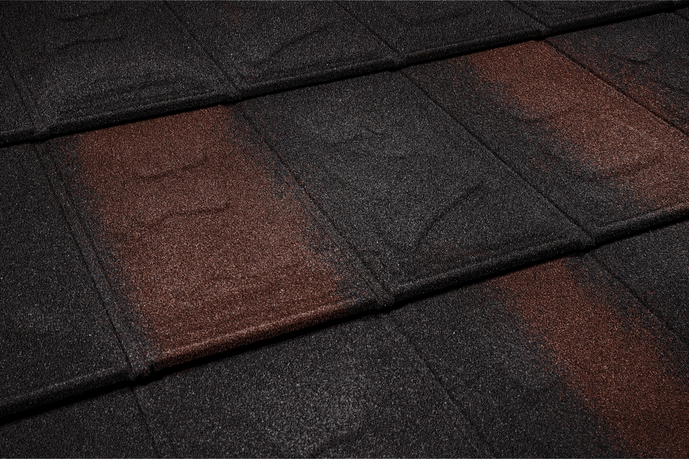 Black-Brown